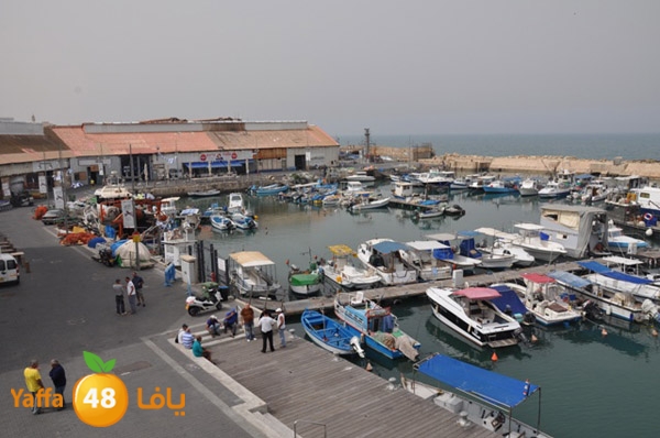 mina2yaffan51i (8).JPG